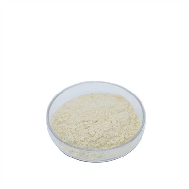Best Meal Replacement Shakes For Men
