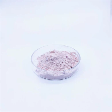 Best Meal Replacement Shakes For Women
